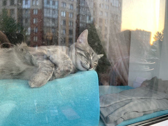 �� ����� ������