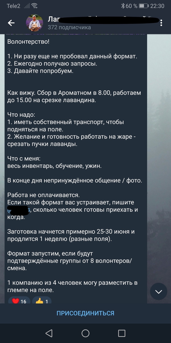 Волонтёрство