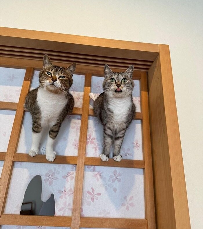      , , ,  , 
