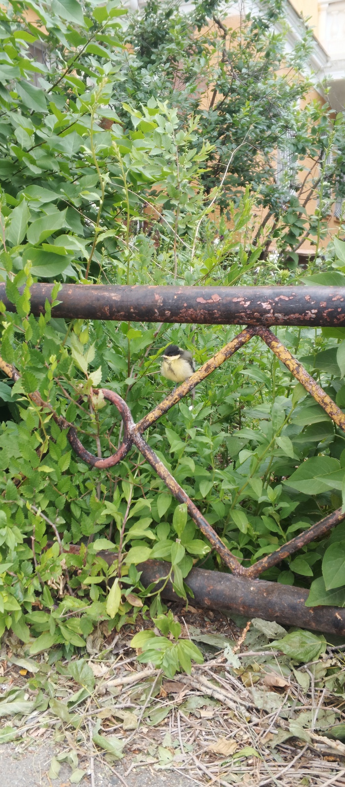 ����� ��� ���������� ������... ����� �������� �������