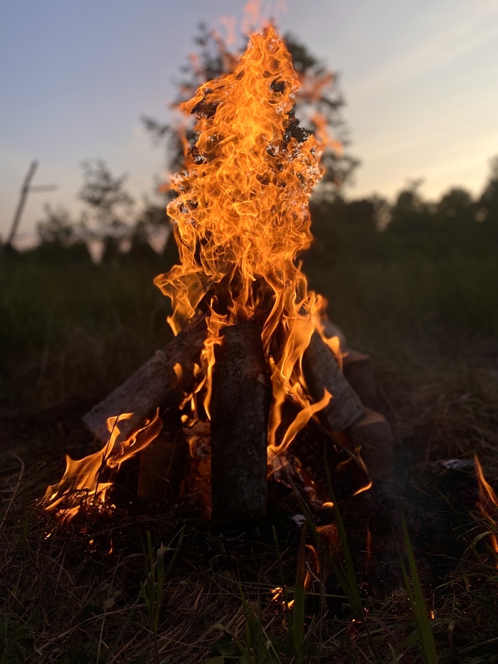 � ������