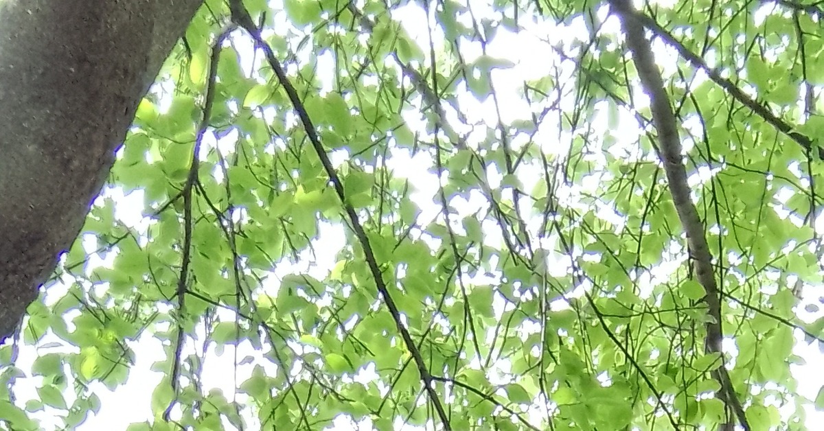 Я электрик... хороший | Пикабу