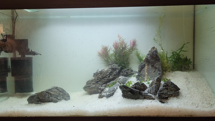 Моя работа Работа, Волна постов, Аквариум, Менеджер, Экология, Длиннопост, Мобильная фотография