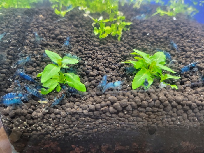 Моя работа Работа, Волна постов, Аквариум, Менеджер, Экология, Длиннопост, Мобильная фотография