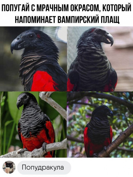  ,   , , 