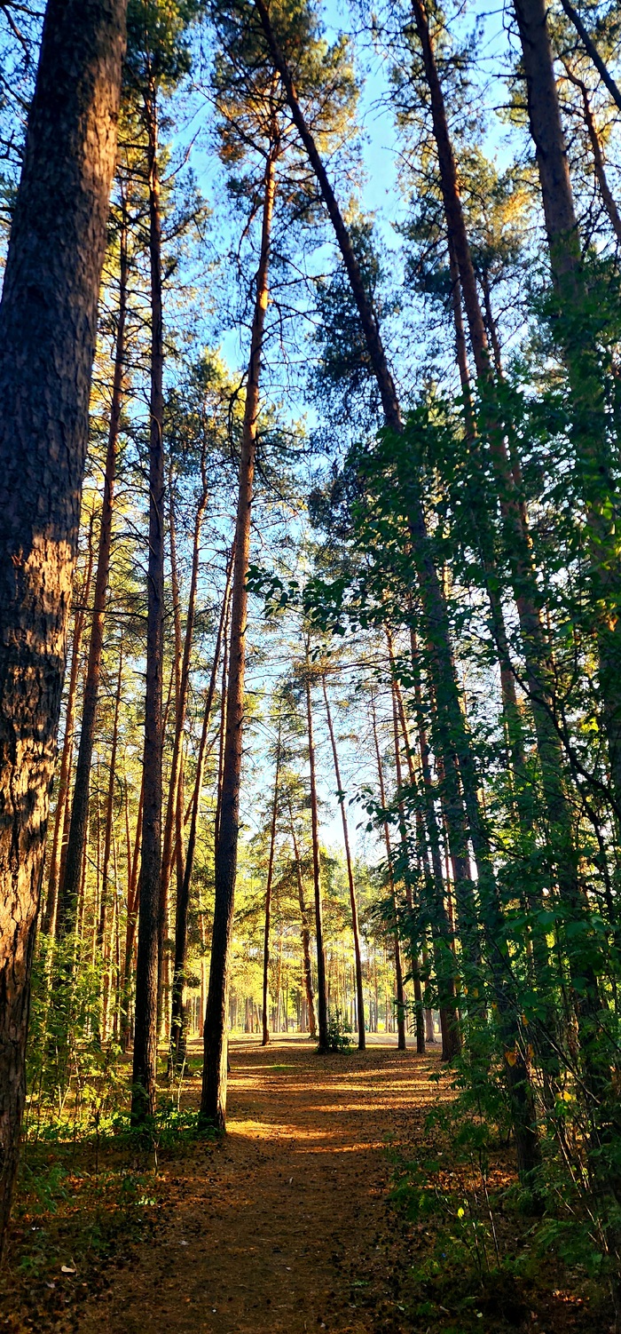 Парк у дома