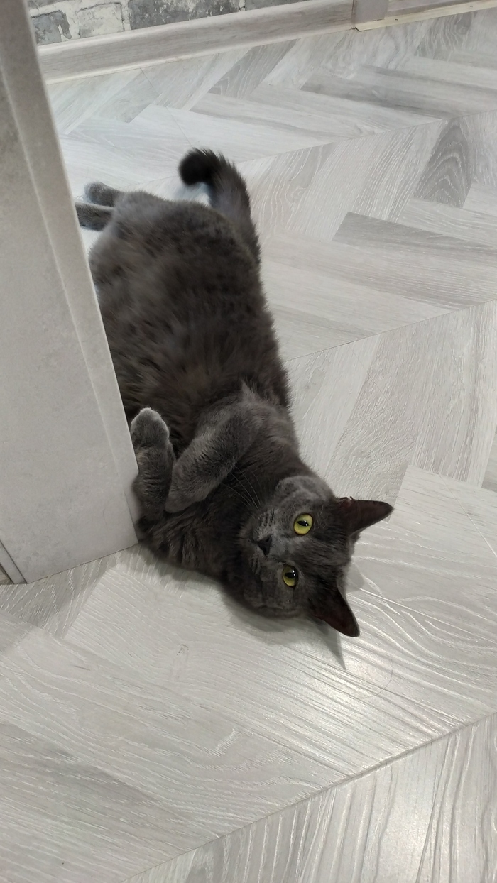  ,   , , 