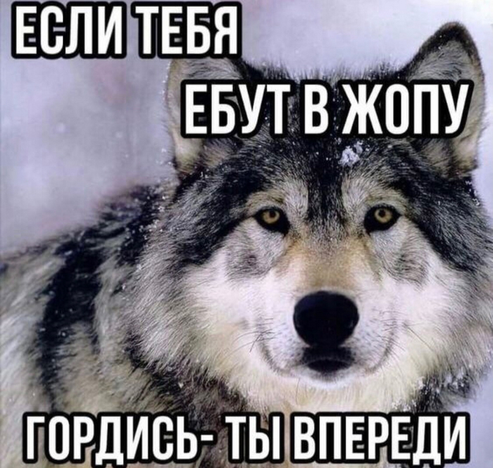 Запомни брат