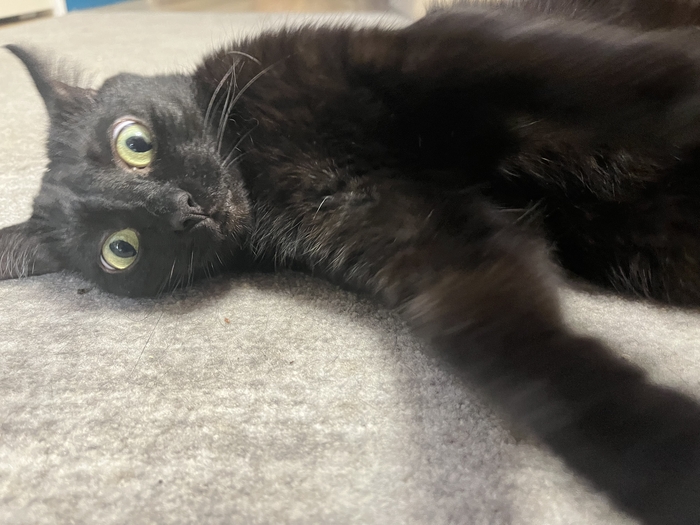 ����, � ��� ������!