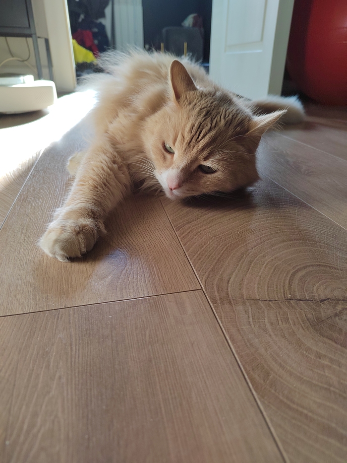 � �� ����� ������ ����������. ����������, 12 �������