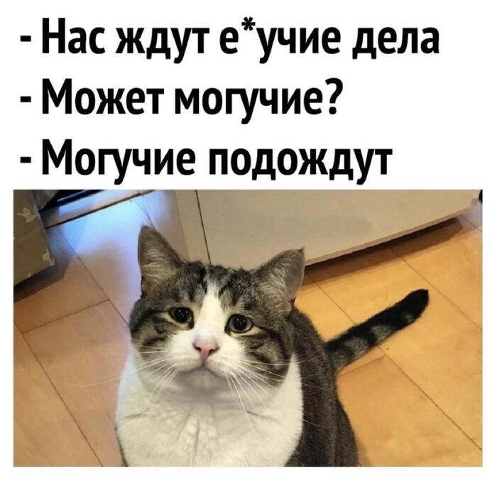 � �������� �� �����?