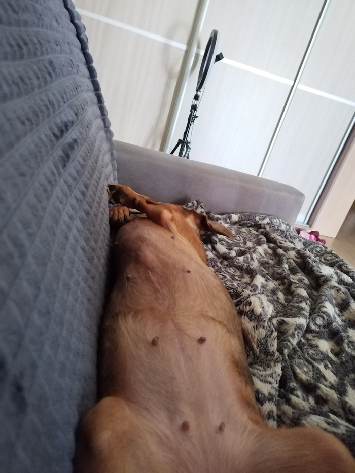    , , , ,  , 