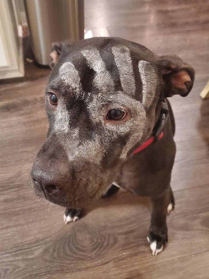 Теперь ты служишь Саруману