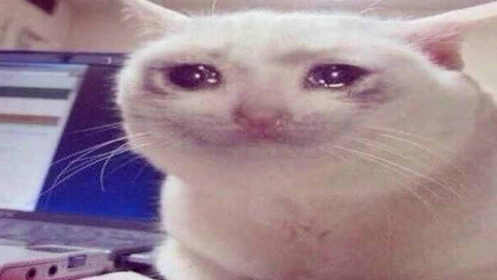      ӻ