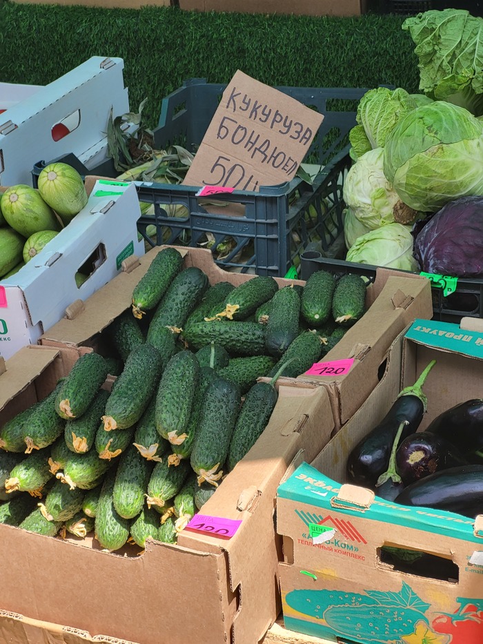 Кто Бондю Ел? Кукуруза!