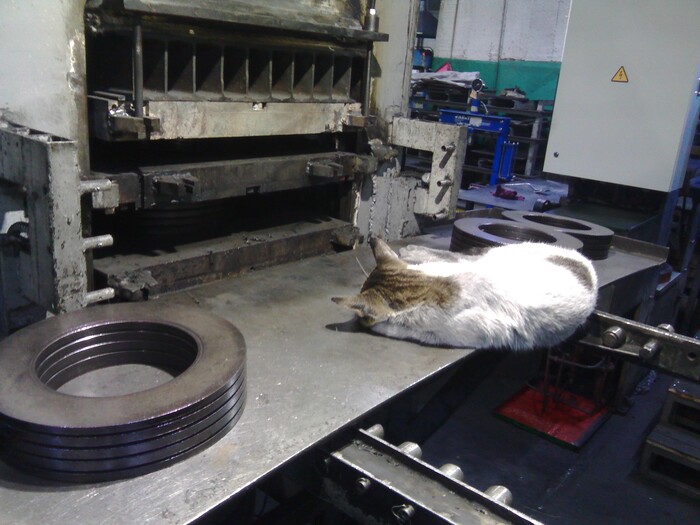 � �� ������...