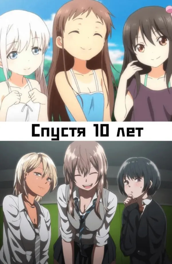 �������� �������� �������� �����������: ����.