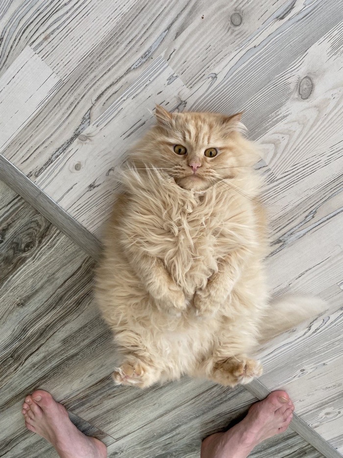 ��� ��� ��������� ���