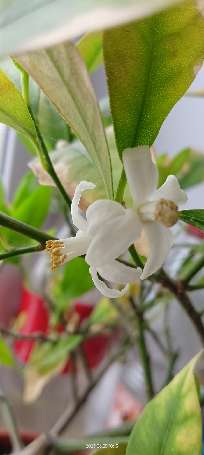 Не про работу