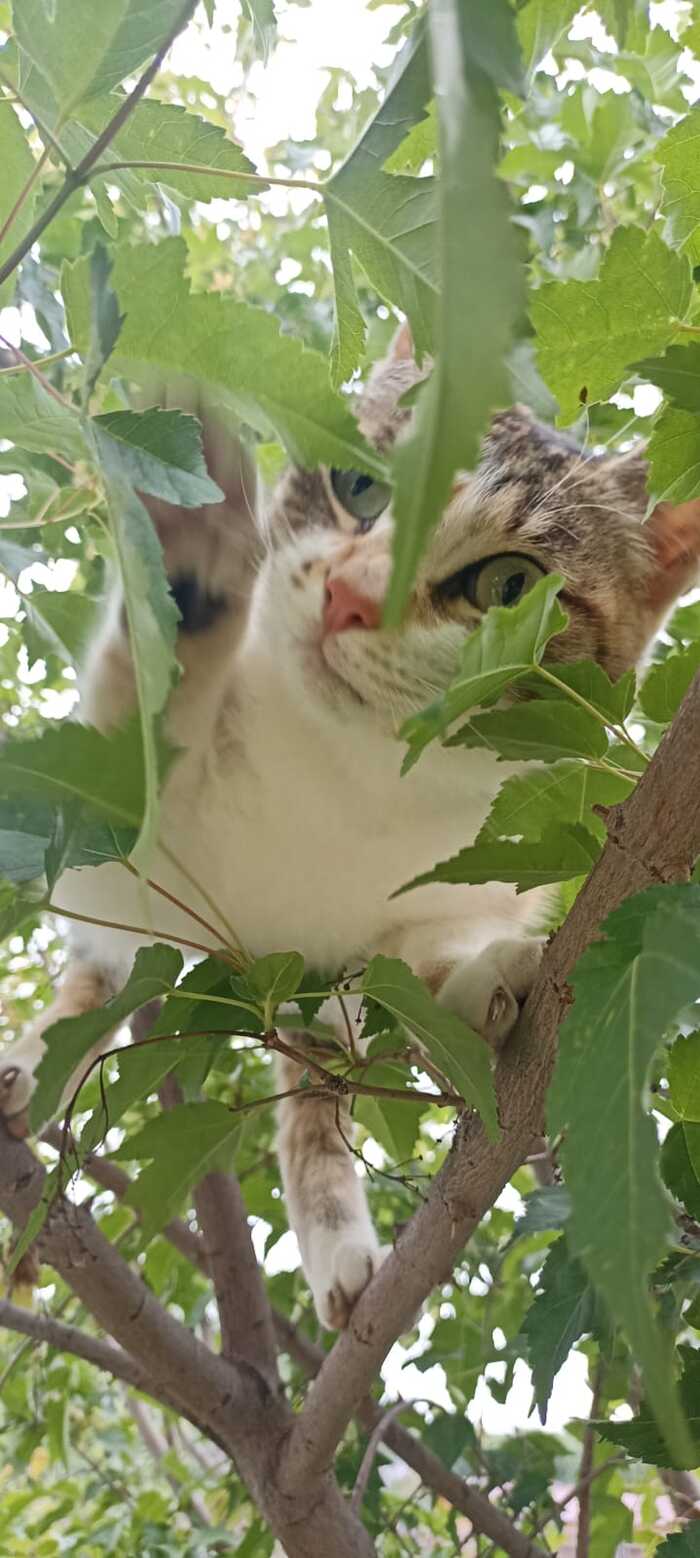 ���� ����� ��������� ���� ������.)))