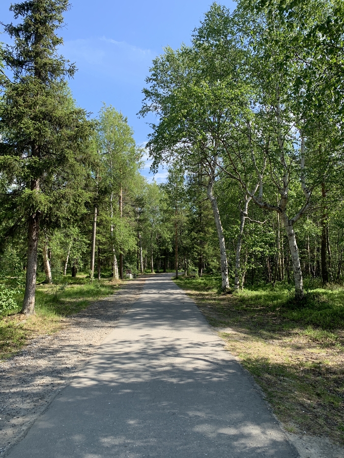 В парке