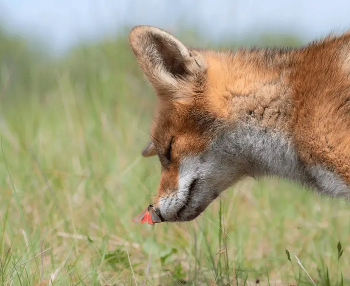 ������� - �� �������