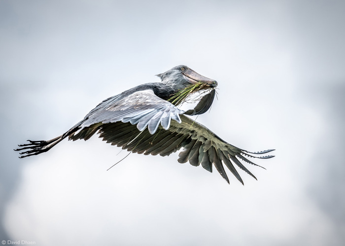 Доставка стройматериалов