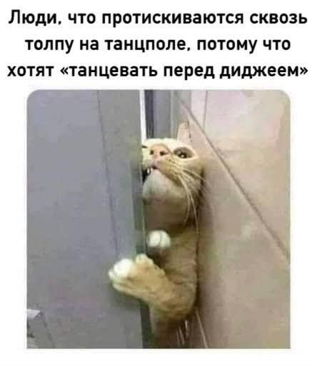 �� ������