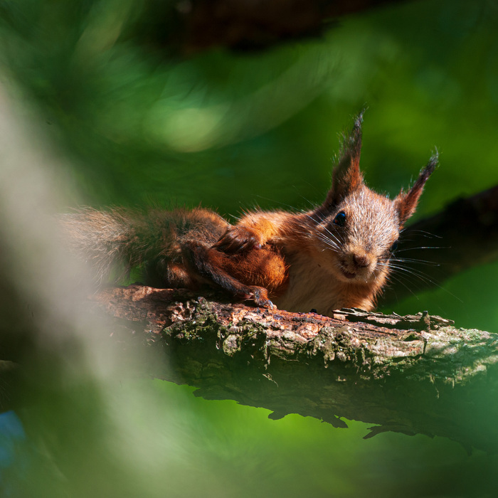 ������ ����� � �����