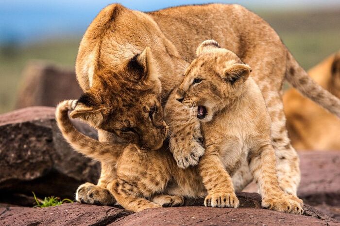 Я маме скажу!