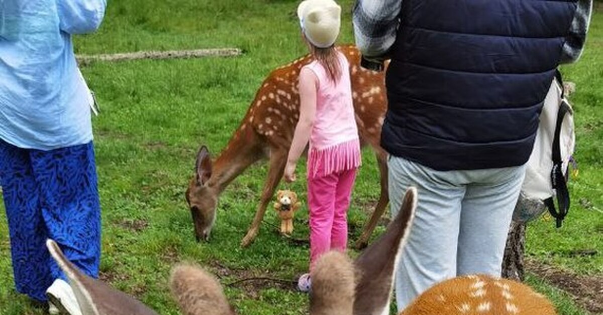 Бурление эмоций | Пикабу