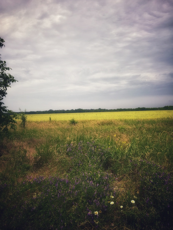 ������ �����!