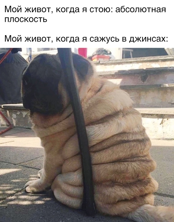 Живот | Пикабу