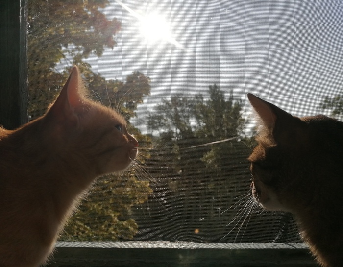 Утренние посиделки