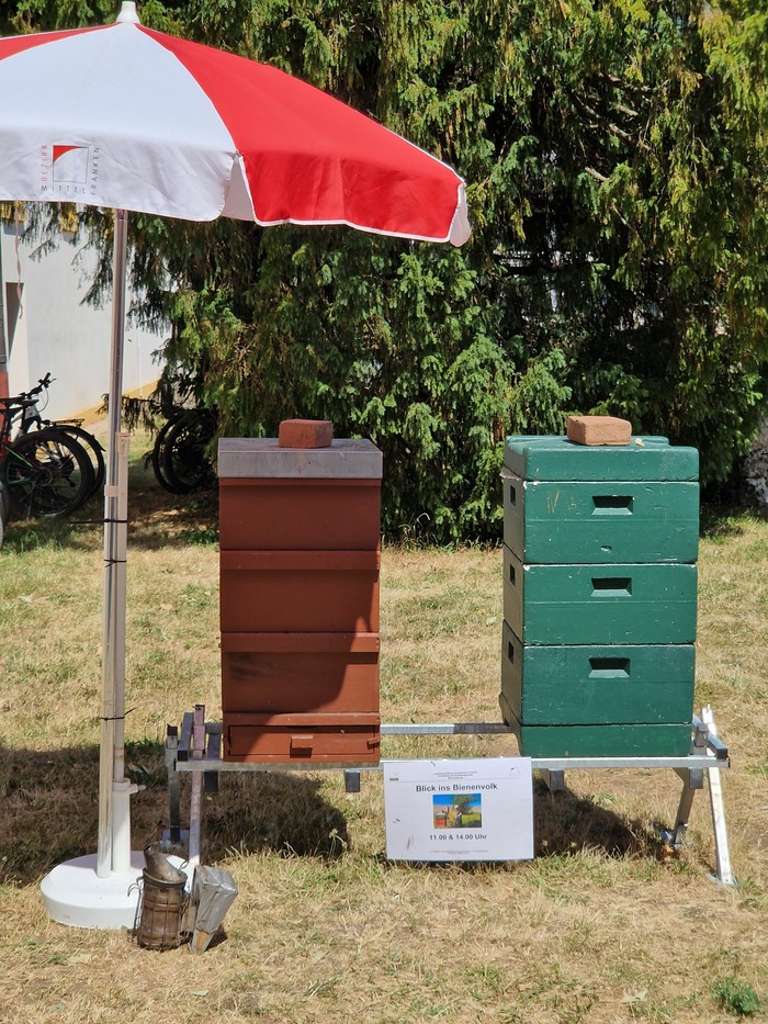 Азы пчеловодства от немцев Пчеловодство, Германия, Колода, Пчелы, Выставка, Длиннопост