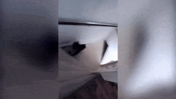Котейка денюжку бережет Гифка, Ассорти, Кот, Длиннопост