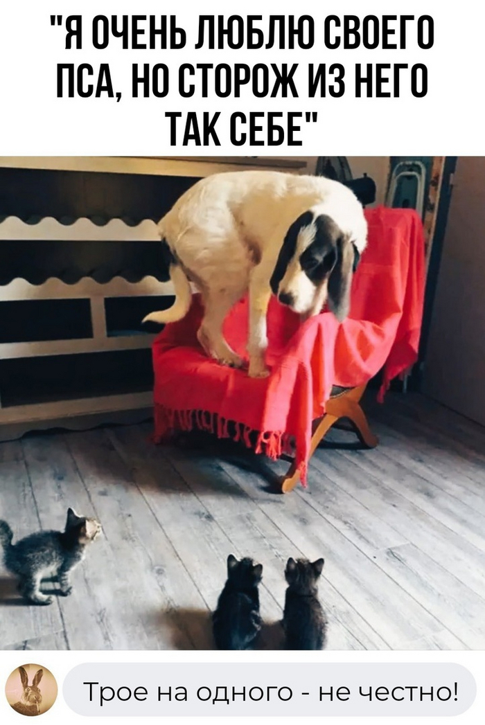 Лучший сторож