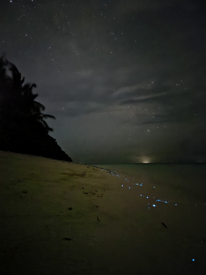 Светящийся планктон