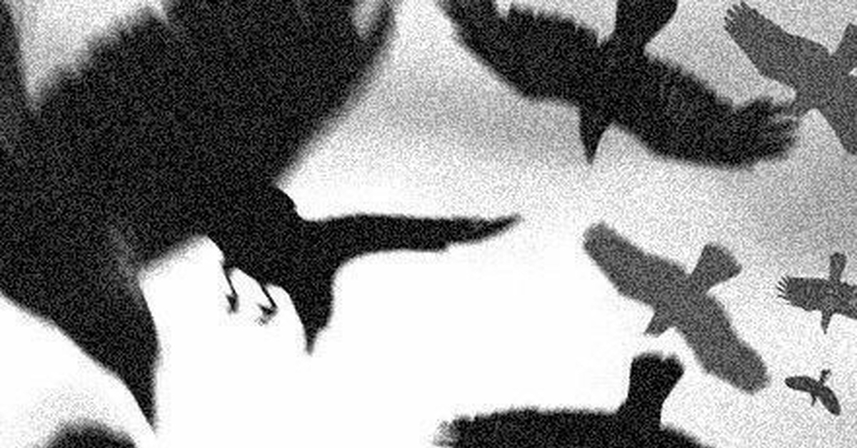 Поздно | Пикабу