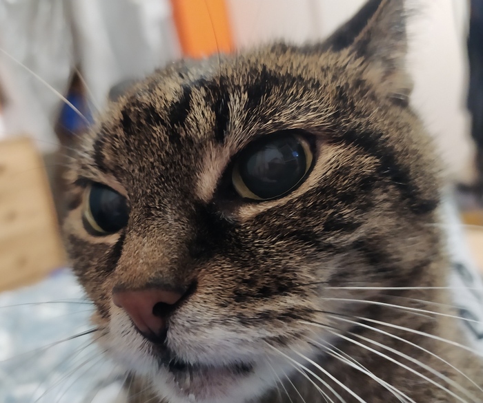 Чудеса логистики от яндекс.маркета | Пикабу