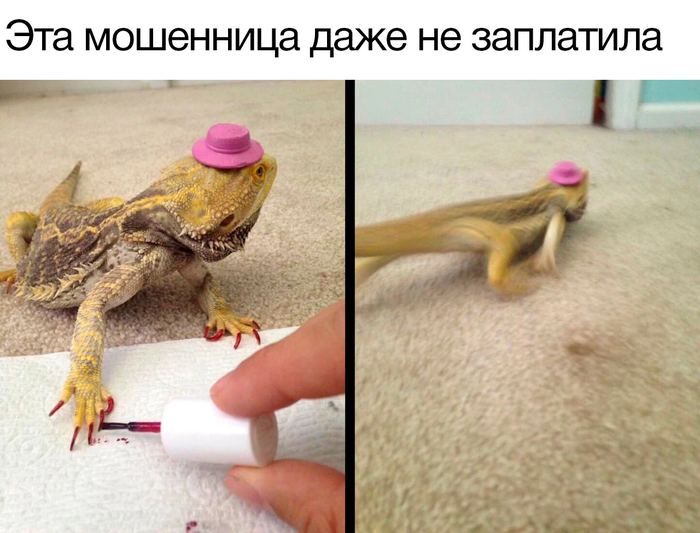 Мошенница