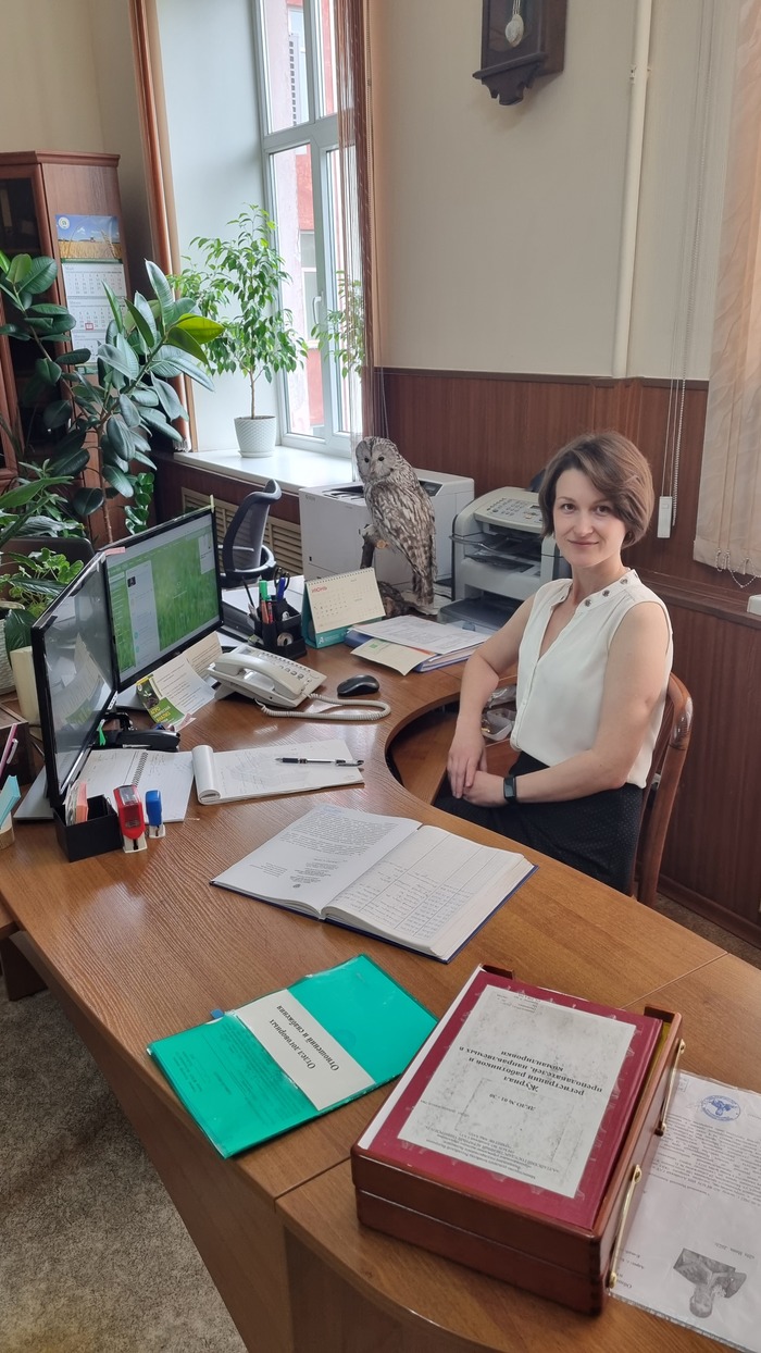 А я секретарь