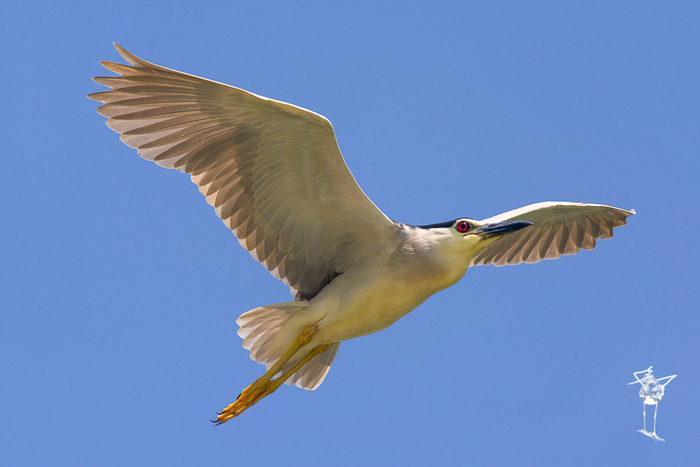 ����� � ������������ ����� �. 2