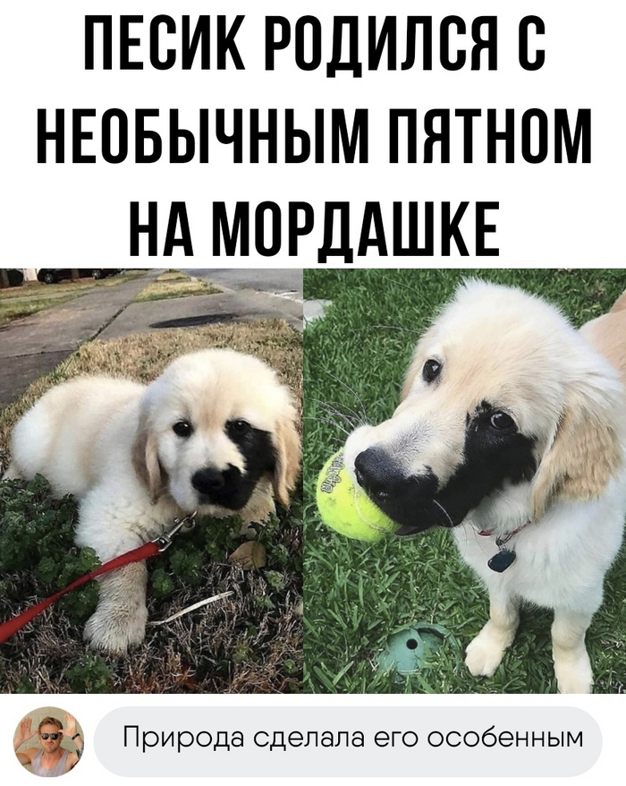 Необычное пятно