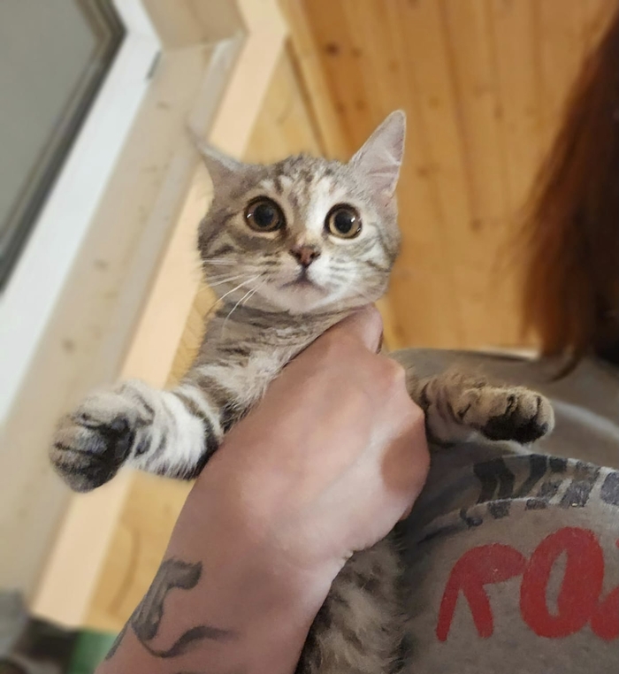     ! ,  , , ,   ,  ,  , ,  , , , 