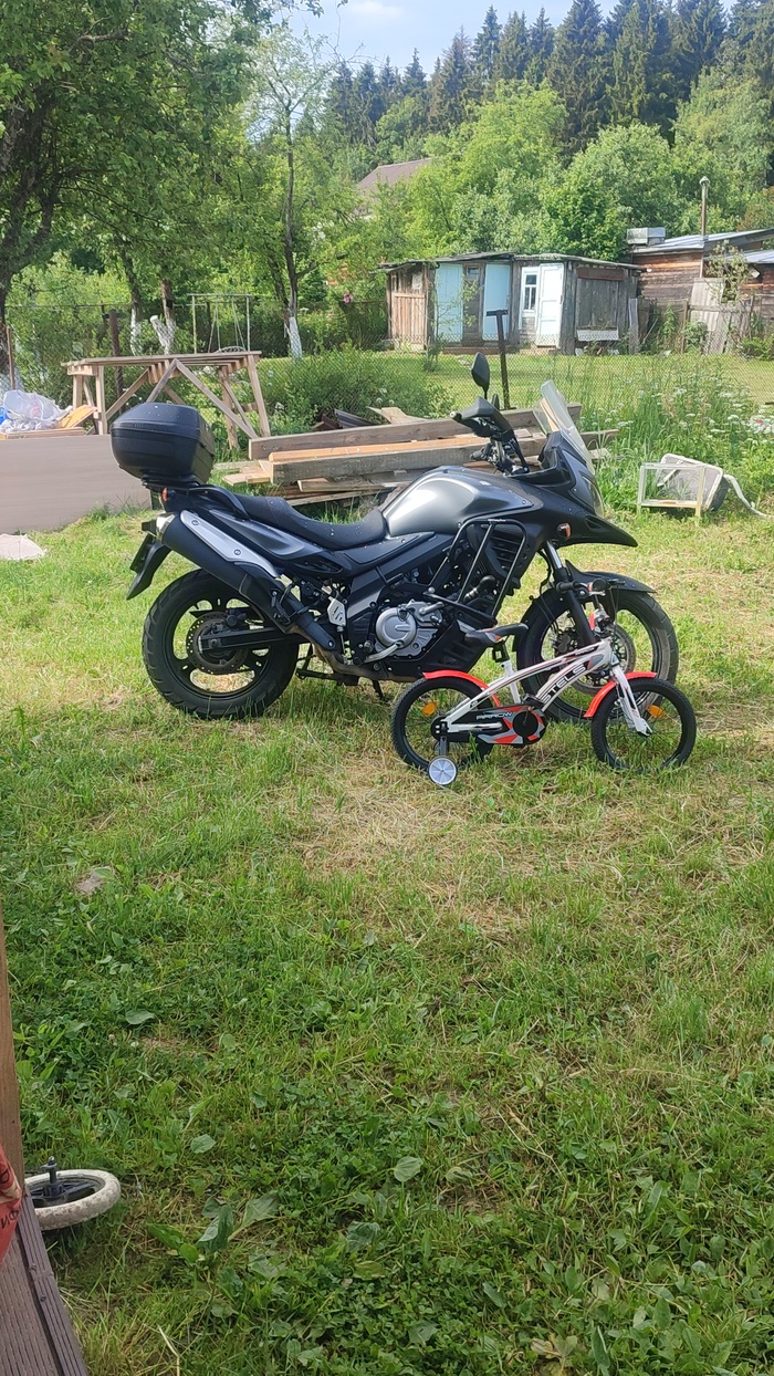    , Suzuki,  , 