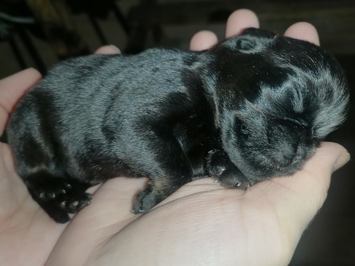  Aler51     &quot;  -      &quot;