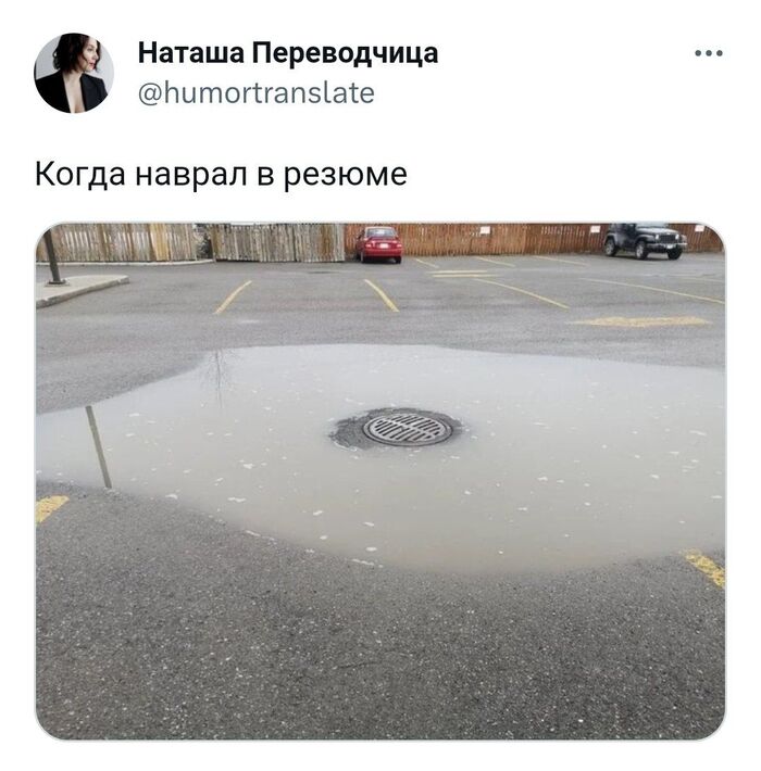,  )   - Twitter, , , , , Telegram 