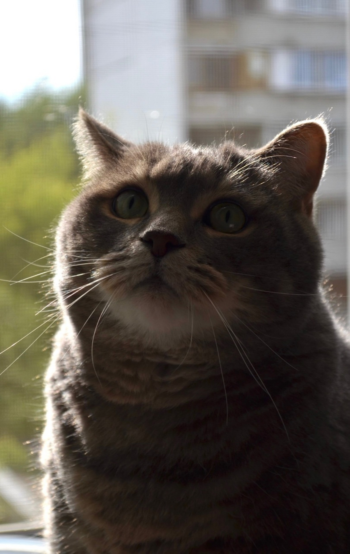 Греется | Пикабу