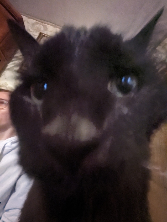      , , , ,  ,  ,  